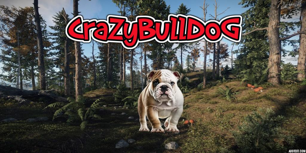 Server Banner Image