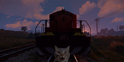 Server Banner Image