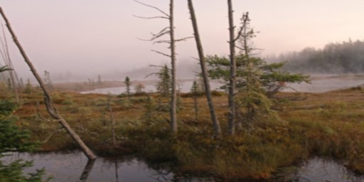 Canadian Backyard PVE (test server)