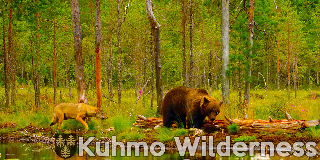 Kuhmo Wilderness