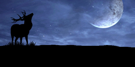 Server Banner Image