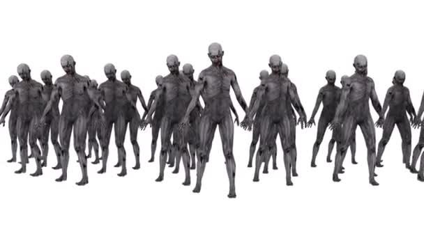 Server Banner Image